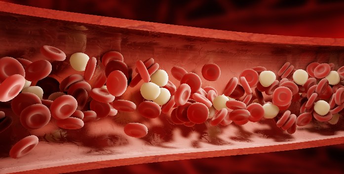 白细胞,血小板,血红蛋白(血色素)含量降低;3,皮肤毒性:主要变现为皮疹