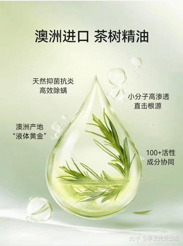 澳洲进口茶树精油珍悦目高奢植物配方为何成眼干眼痒首选