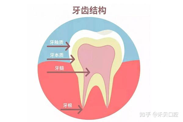牙齿脱矿是什么? - 知乎
