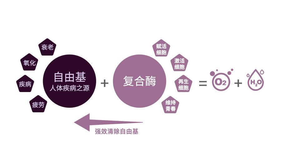 活性氧自由基清除剂