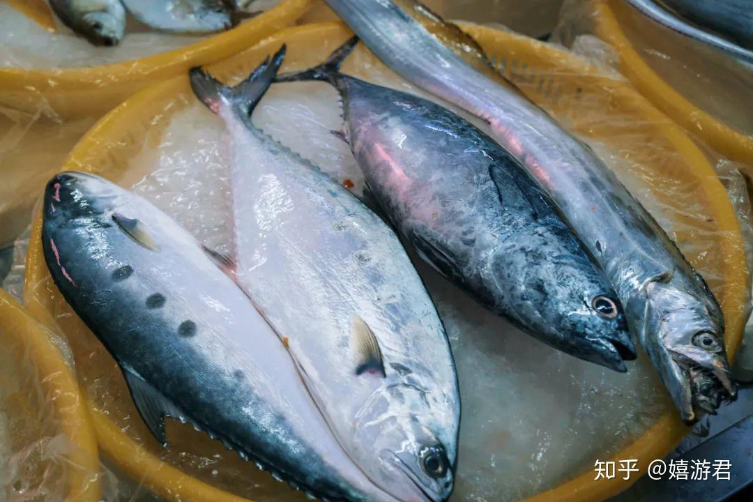 而南海的海水鹹度高,海魚個頭大骨頭硬,肉也更厚實.