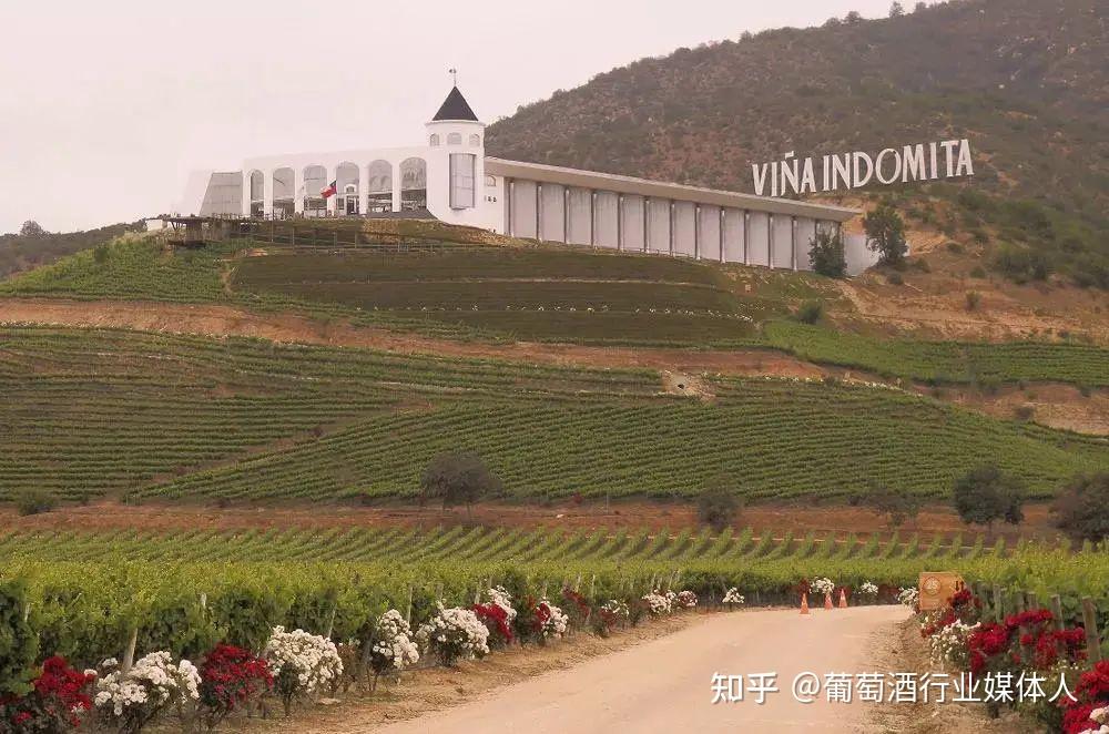 winesofchile明星阵容亮相winetoasia2021呈现智利魅力
