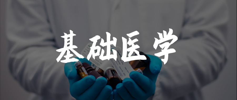 强基计划基础医学类深度解读探索人体奥秘的科学怪人