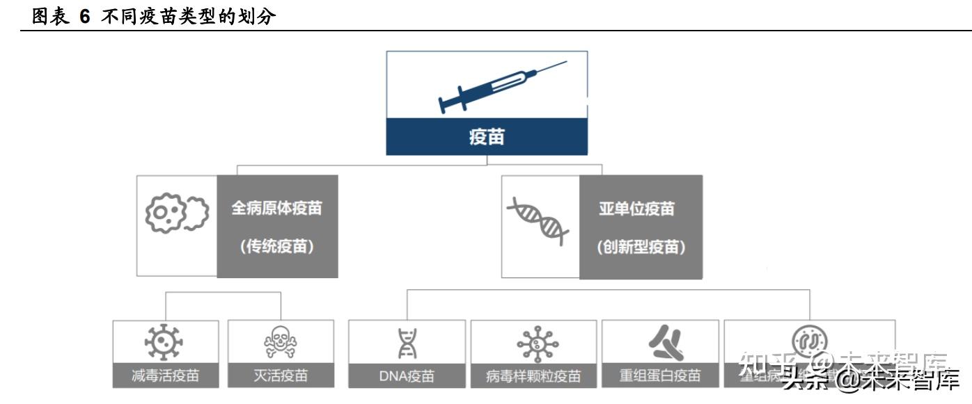 2 "传统 创新",四大技术平台快速孵化数十款新冠疫苗