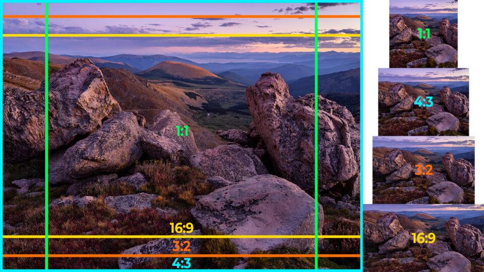 Aspect Ratio help-fossil-preparation-the-fossil-forum