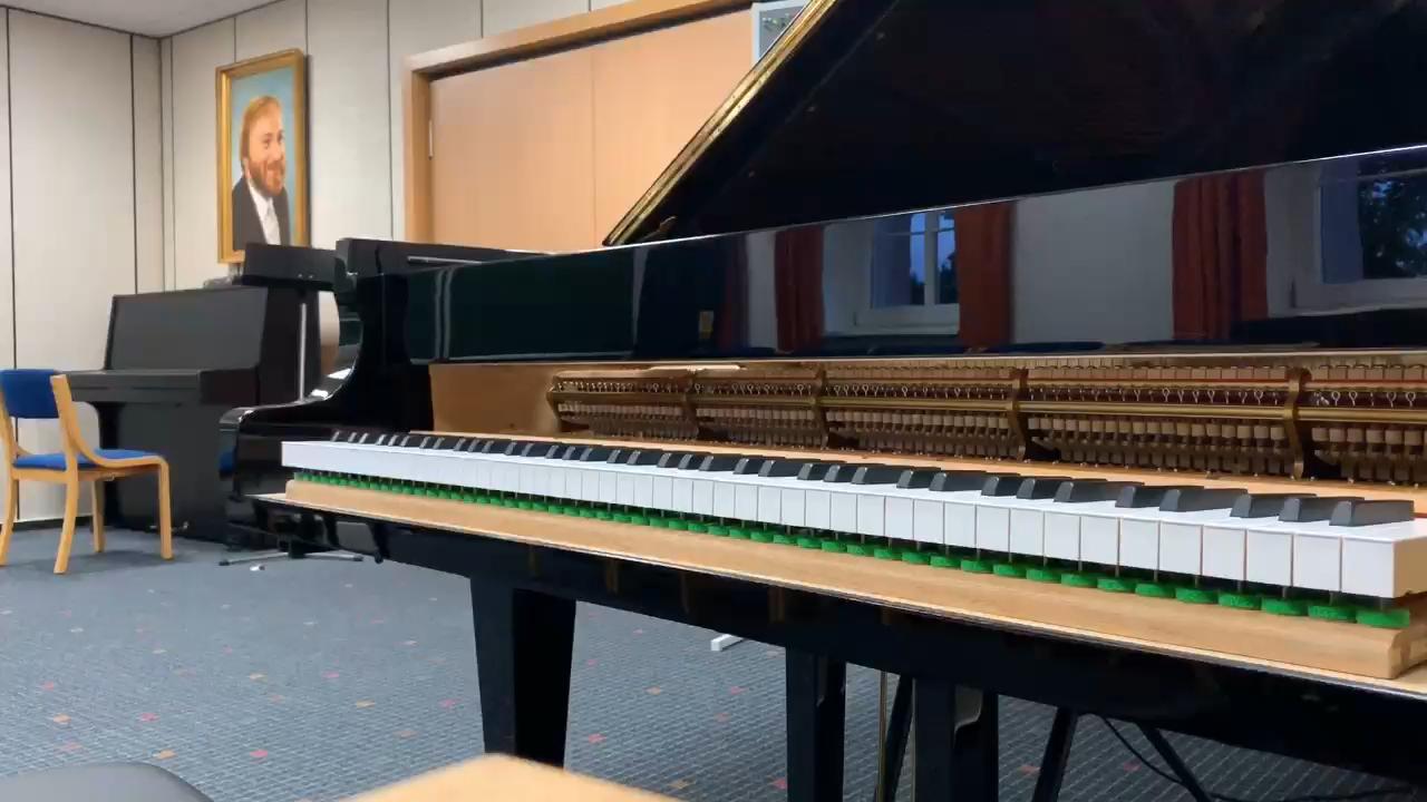 2005年施坦威d274https://www.zhihu.