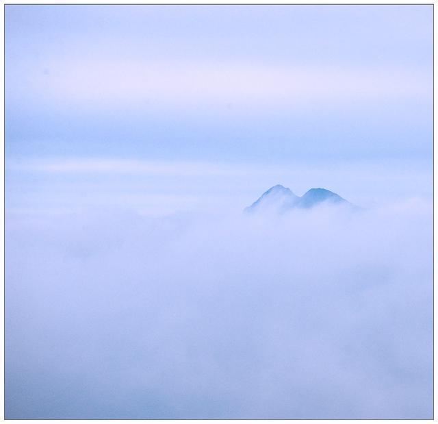 一期一图第53期不恋玉堂花豹隐南山雾