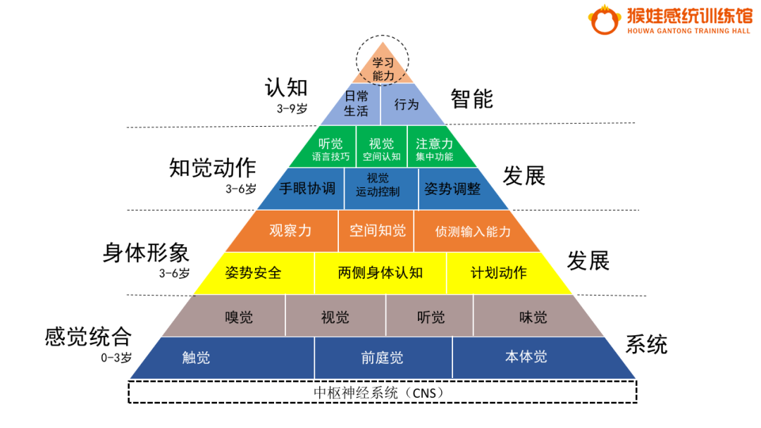 总而言之,触觉,本体觉决定着孩子的学习状态,视听知觉决定着孩子的