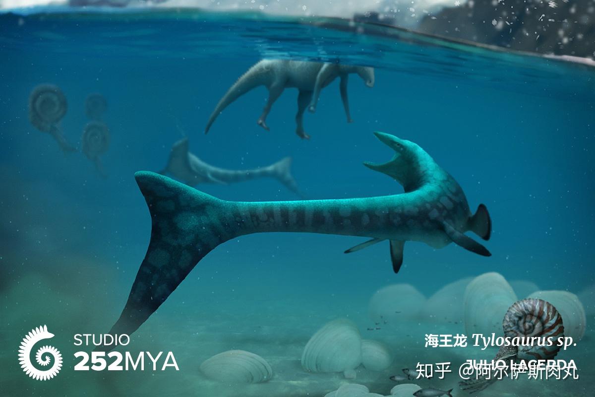 「Legend of Cretaceous丨白垩传 4」沧海沉浮(下):龙游四海 - 知乎