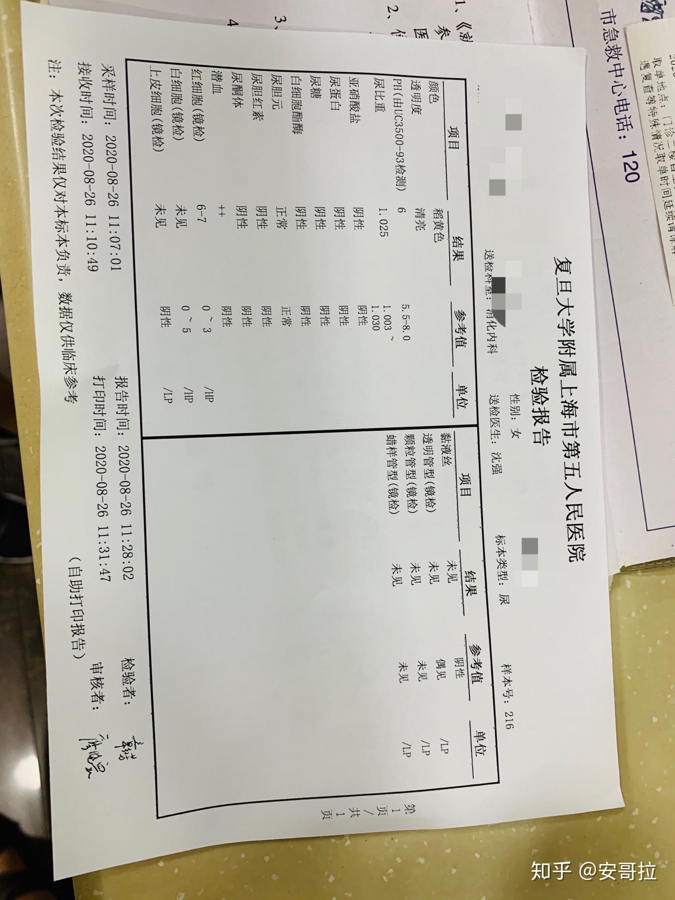 尿隐血3+严重吗图片