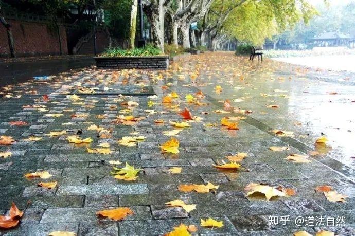 下雨的日子 - 知乎