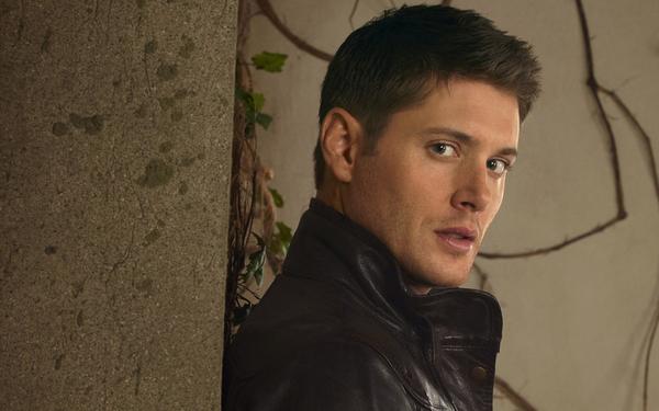 最后一张我最喜欢的表情 然后是温彻斯特兄弟 再加上小卡司 来来来