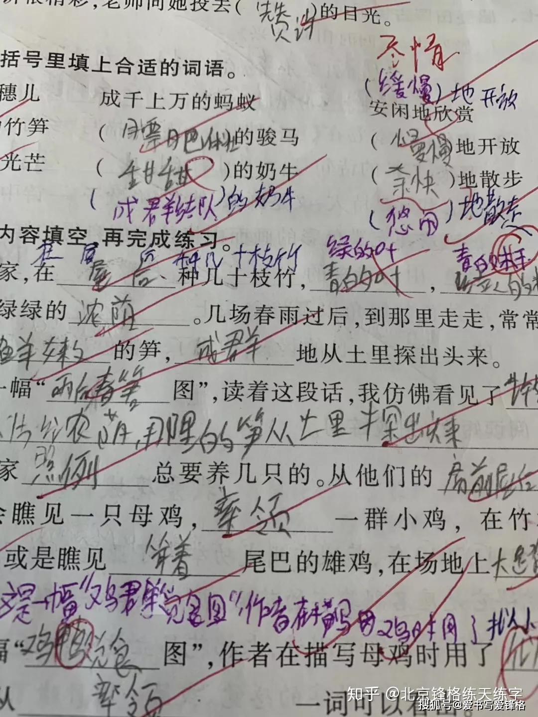 小朋友写字慢是什么原因 v2-bb07a2cd9325b8387a4486a37d246099_r.jpg