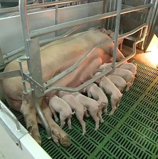 v2-bb128a08d1c783c5161b72da72d1e927_1440w.jpg?source=172ae18b