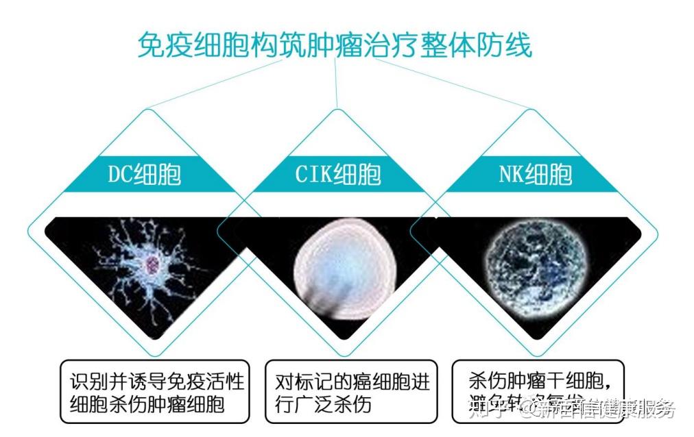免疫细胞治疗是采集人体自身免疫细胞,经过体外培养,使其数量成千倍