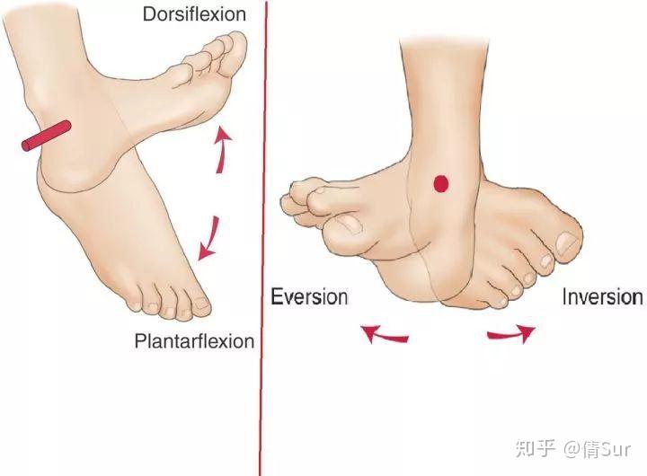 什么方法可以解决脚出汗 v2-bb1b6435b1491b59f7f044e251aa4469_r.jpg