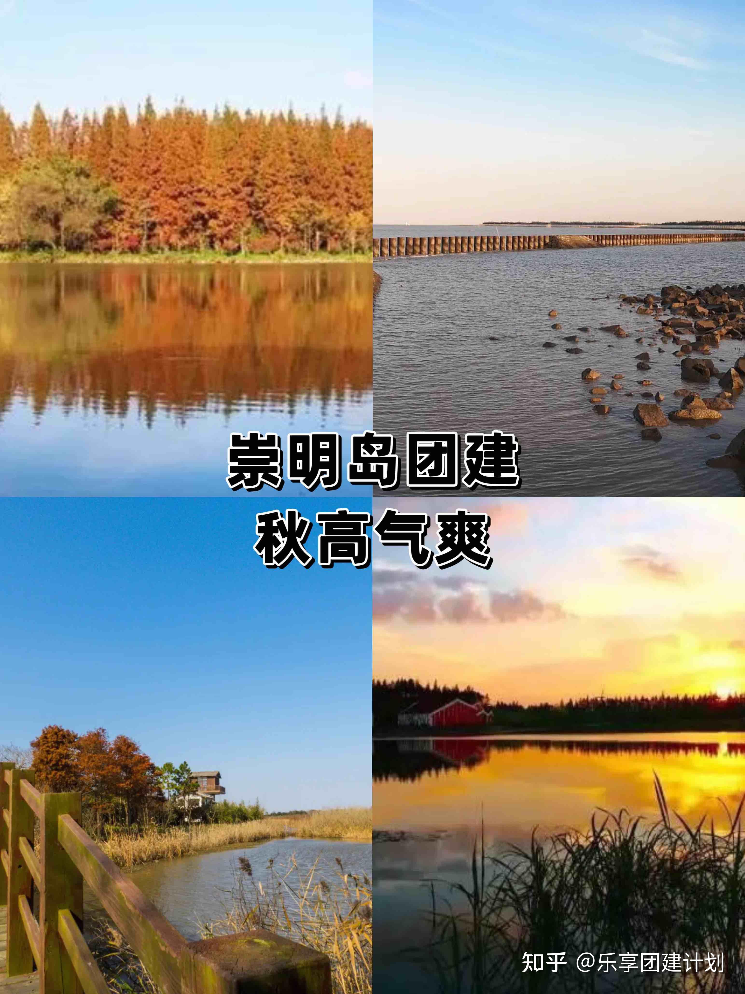 上海团建秋意渐浓崇明岛1日游玩攻略分享 - 知乎