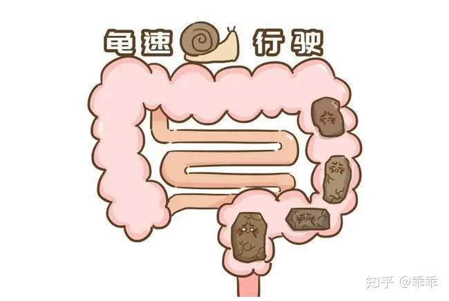 “放屁频繁”到底咋回事?是身体在排毒吗?肛肠科医生说出答案 - 知乎
