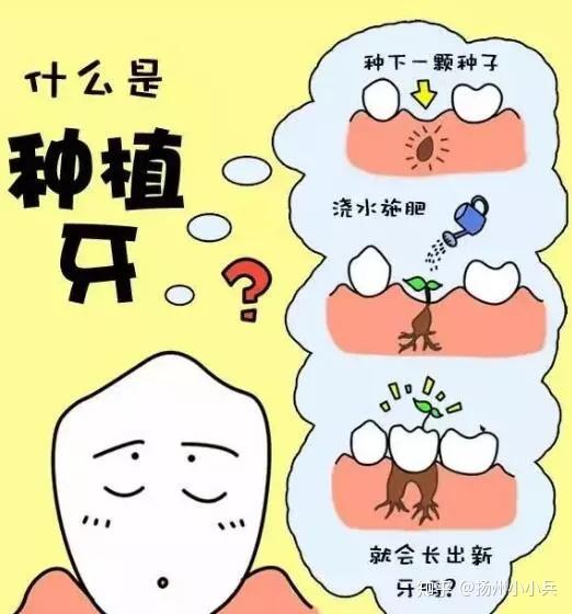 就會引發一連串的連鎖反應更慘的是如果你缺了一顆牙歪歪斜斜,有齙牙