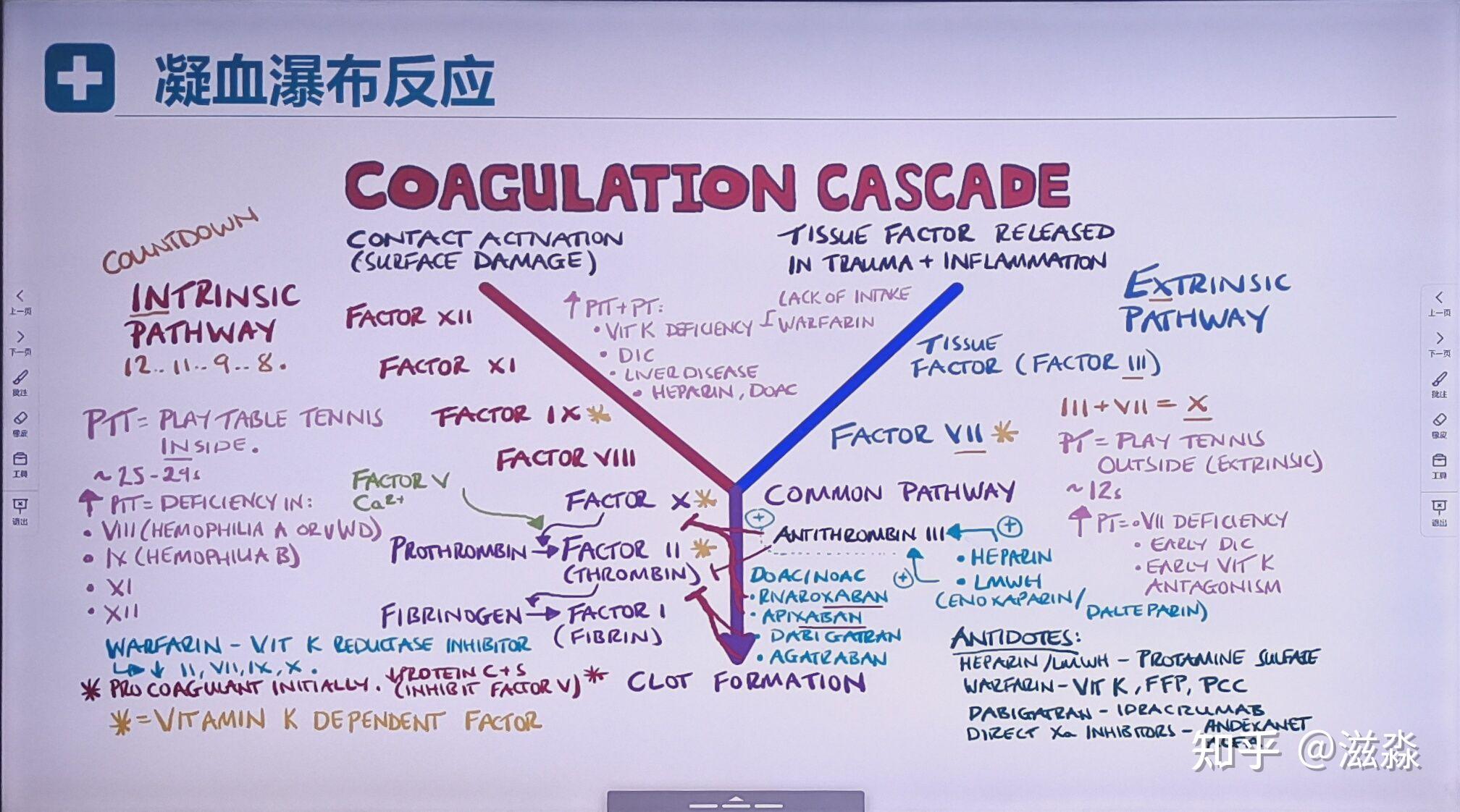 小周的外科学复习 - 知乎