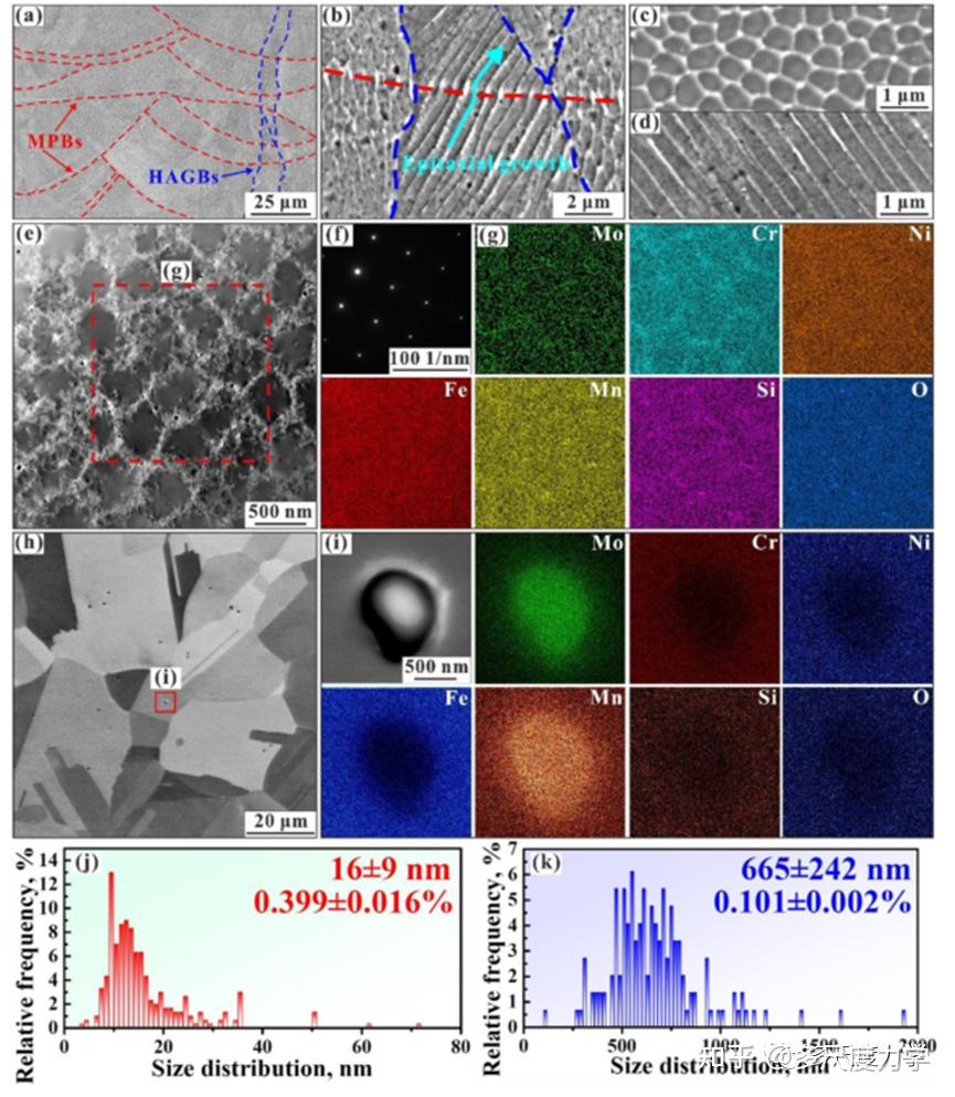 Int. J. Plast. 显微组织对多晶体疲劳性能的影响：常规和加工型316L不锈钢的对比研究 知乎