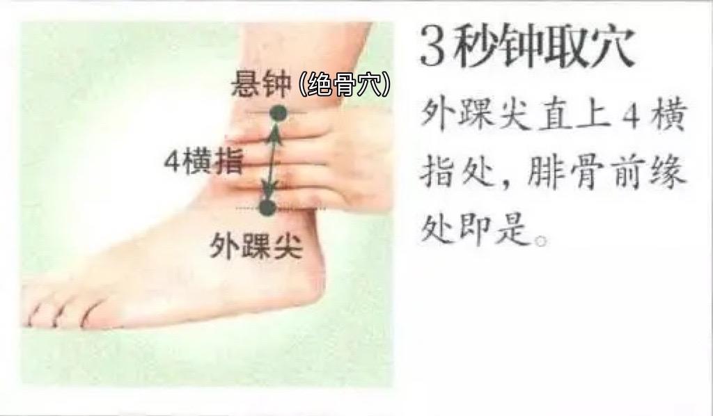 倪海厦 | “髓会绝骨” - 知乎