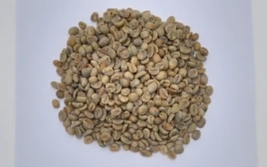 咖啡生豆颜色不准,烘焙全白搭!PS808 帮你精准测量生豆色差