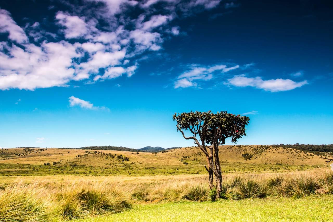 去斯里兰卡旅游有哪些注意事项?