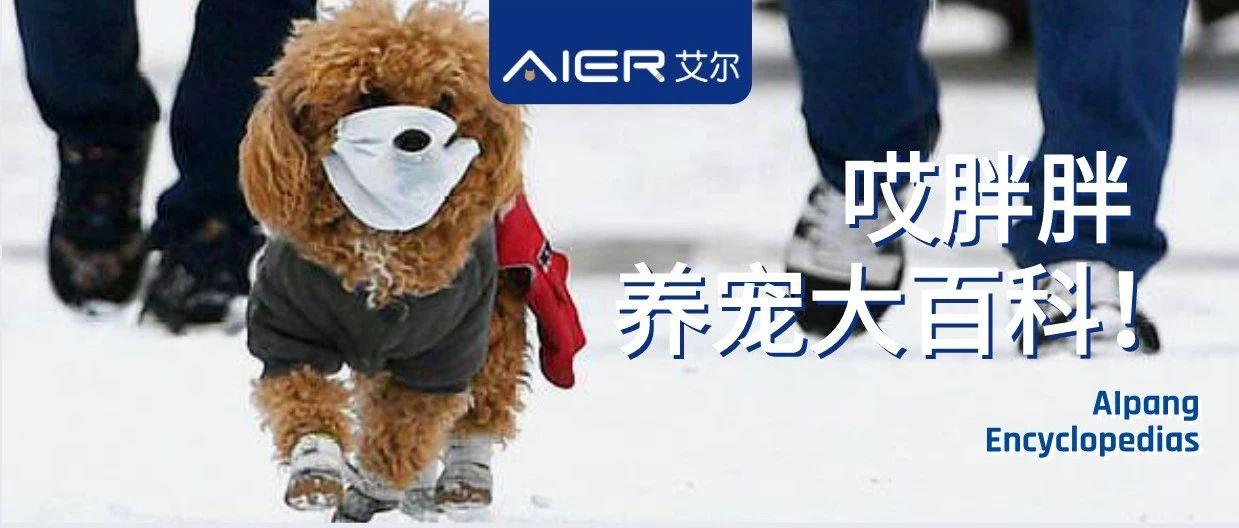 v2-bb63cc7ec79783dbe1d66b19b0e92fe9_1440w.jpg?source=172ae18b