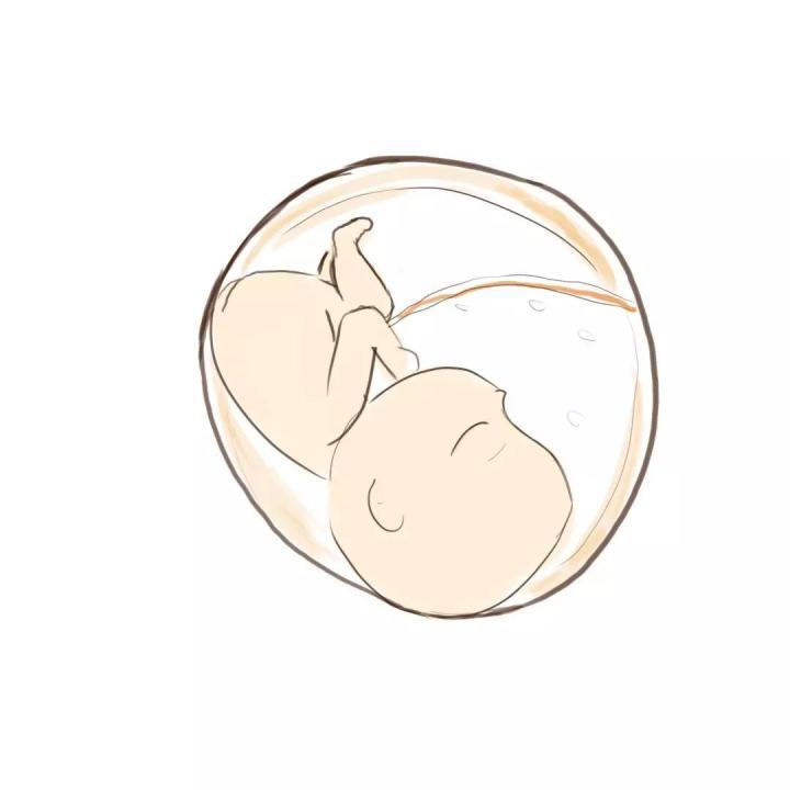 什么是精子畸形率 v2-bb66ccb2f9935ae527719c3afd312c4e_1440w.jpg?source=172ae18b