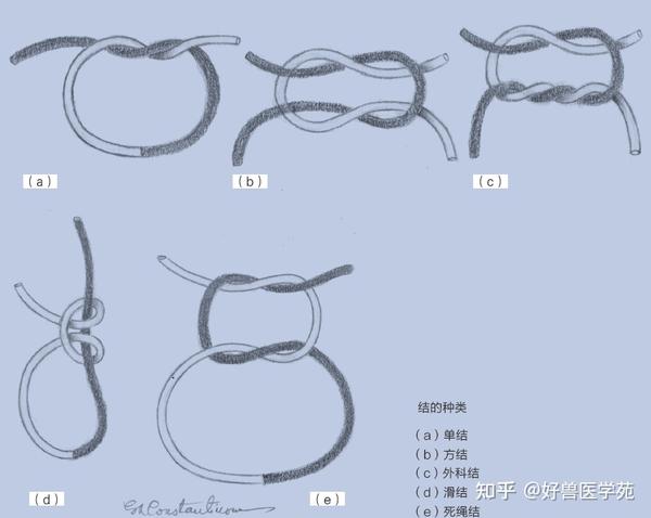 干货!图解外科徒手打结与器械打结的方法 - 知乎