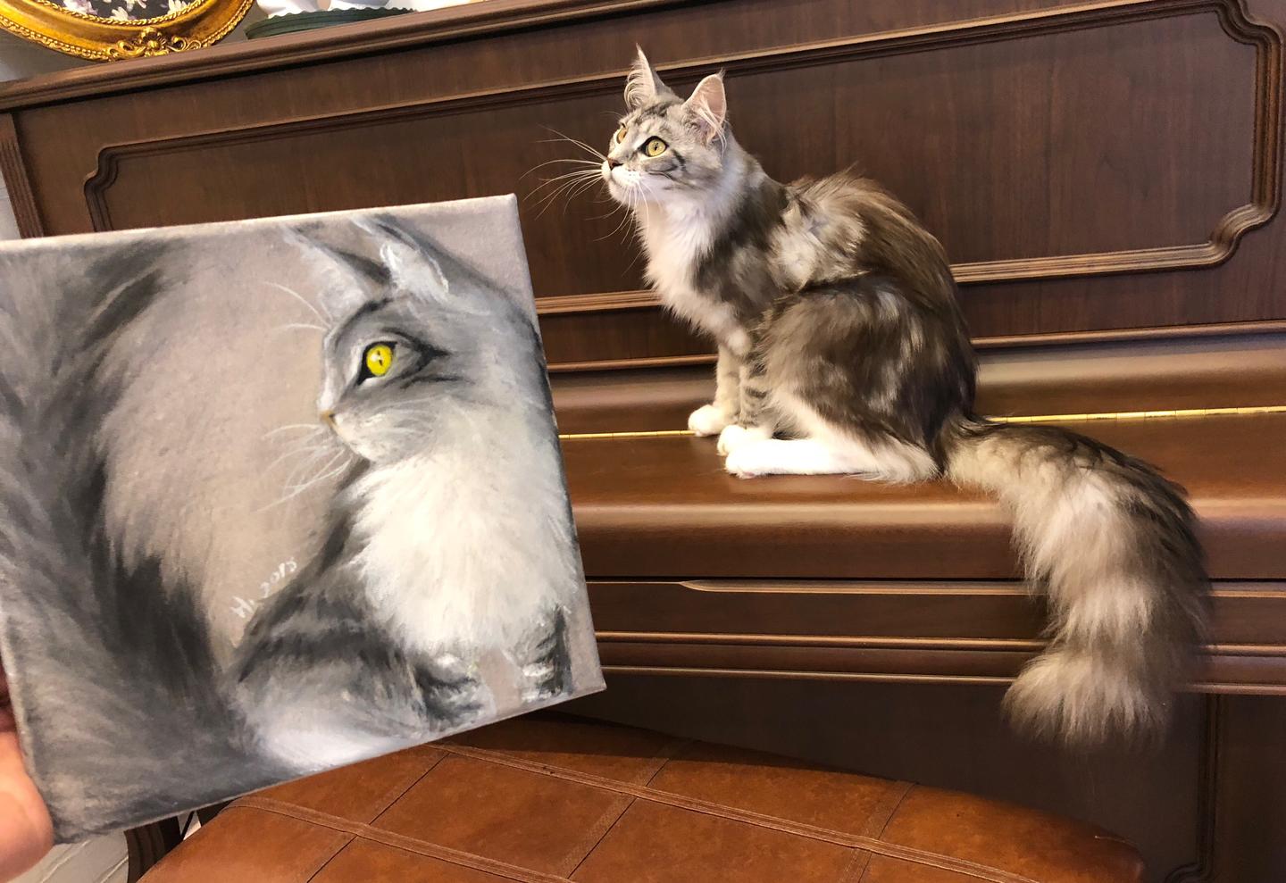 世界名画里的那些猫事 解读画作的奥秘喵 知乎 世界名画里的那些猫事 解读画作的奥秘喵 知乎