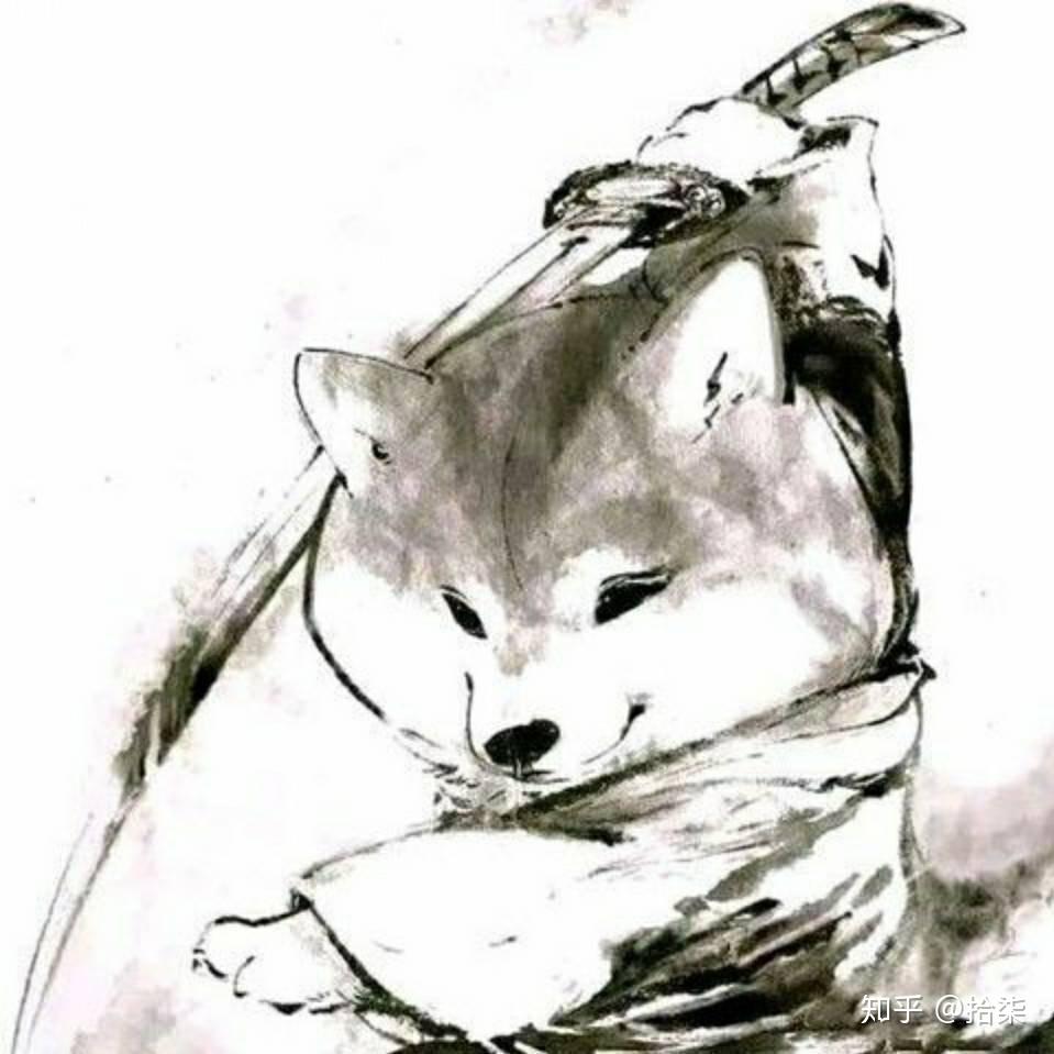 有哪些有关狗狗的微信头像