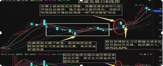中国股市的明日之星——最具潜力的十支股票