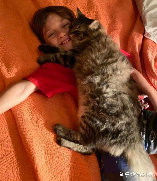 怎么抱猫猫才会喜欢 v2-bb9462ac55fc98939afdc364ab6b84cd_r.jpg