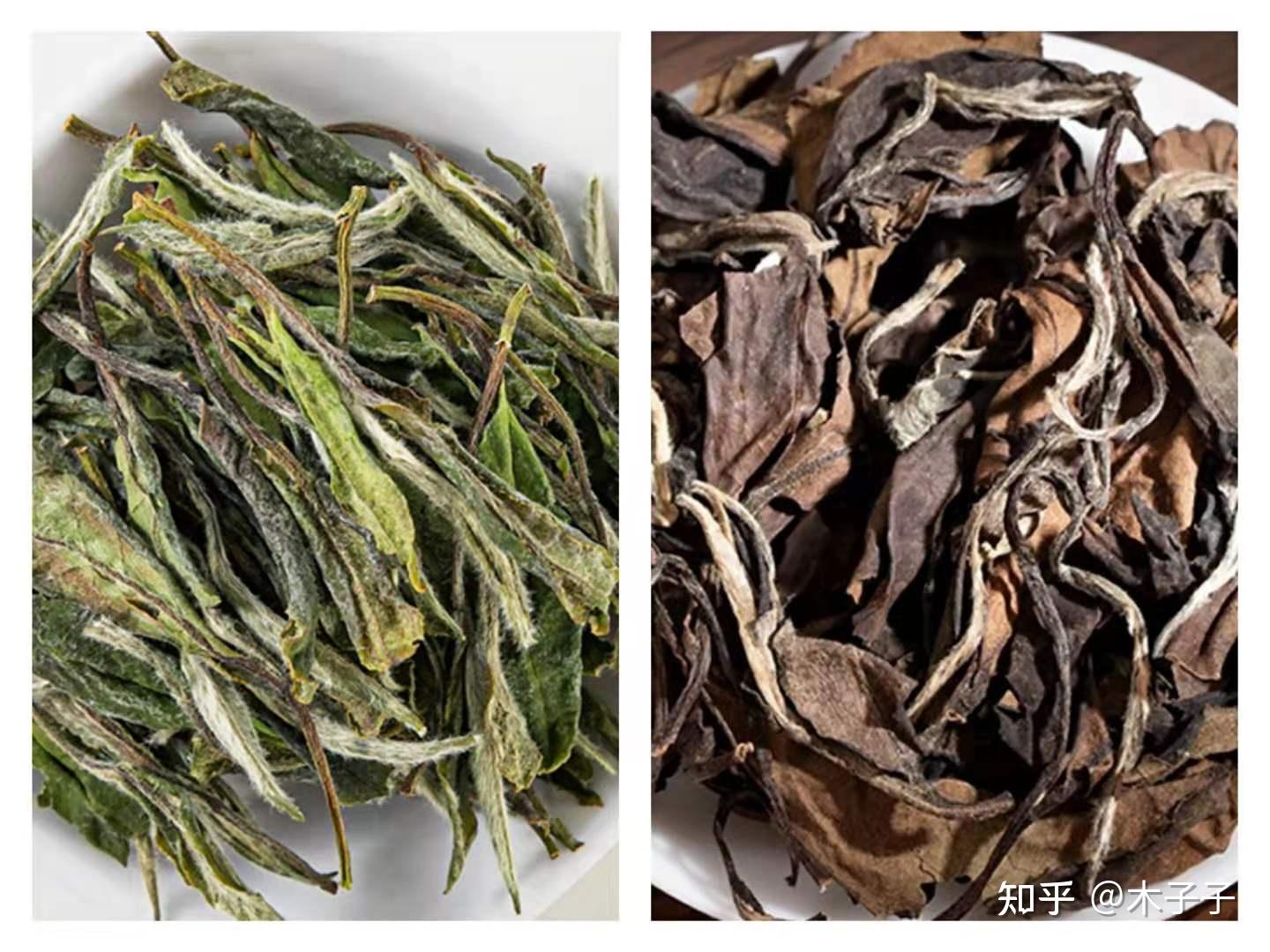 误区二:寿眉是白茶中的低端茶?