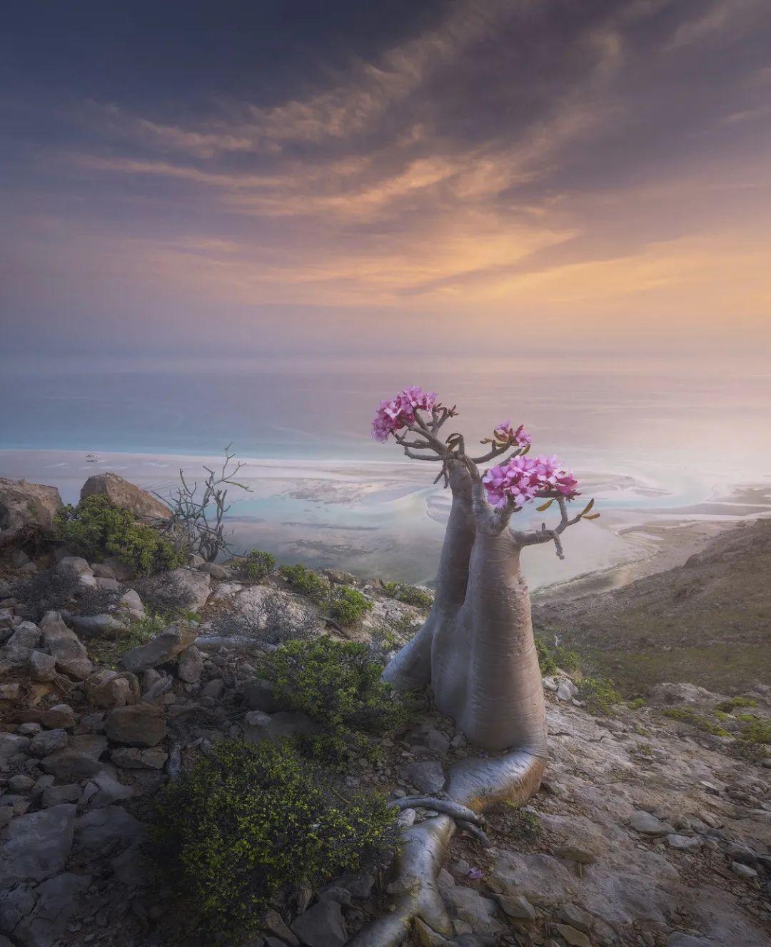 值得持续关注的5位风光摄影师,他们的近作太震撼了吧! - 知乎