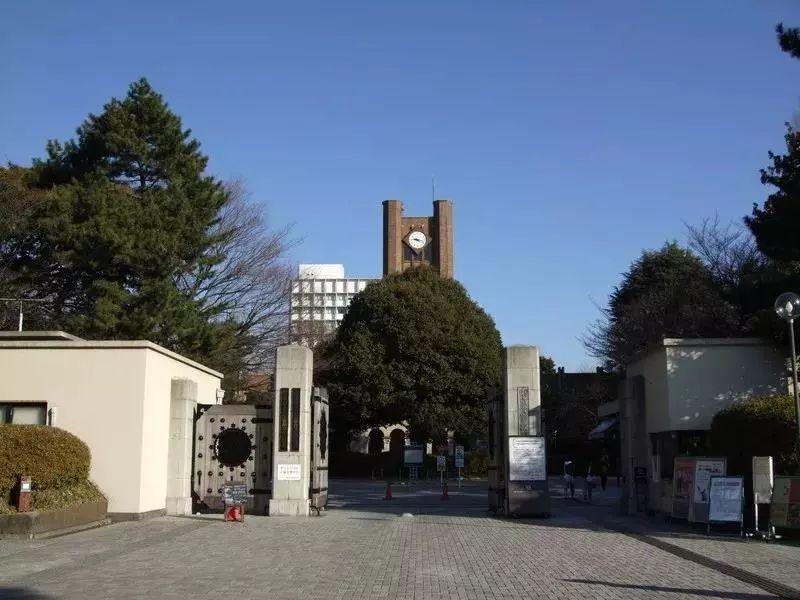 大学院文在这样一个特别的专业里试吃螃蟹东大表象合格者专访