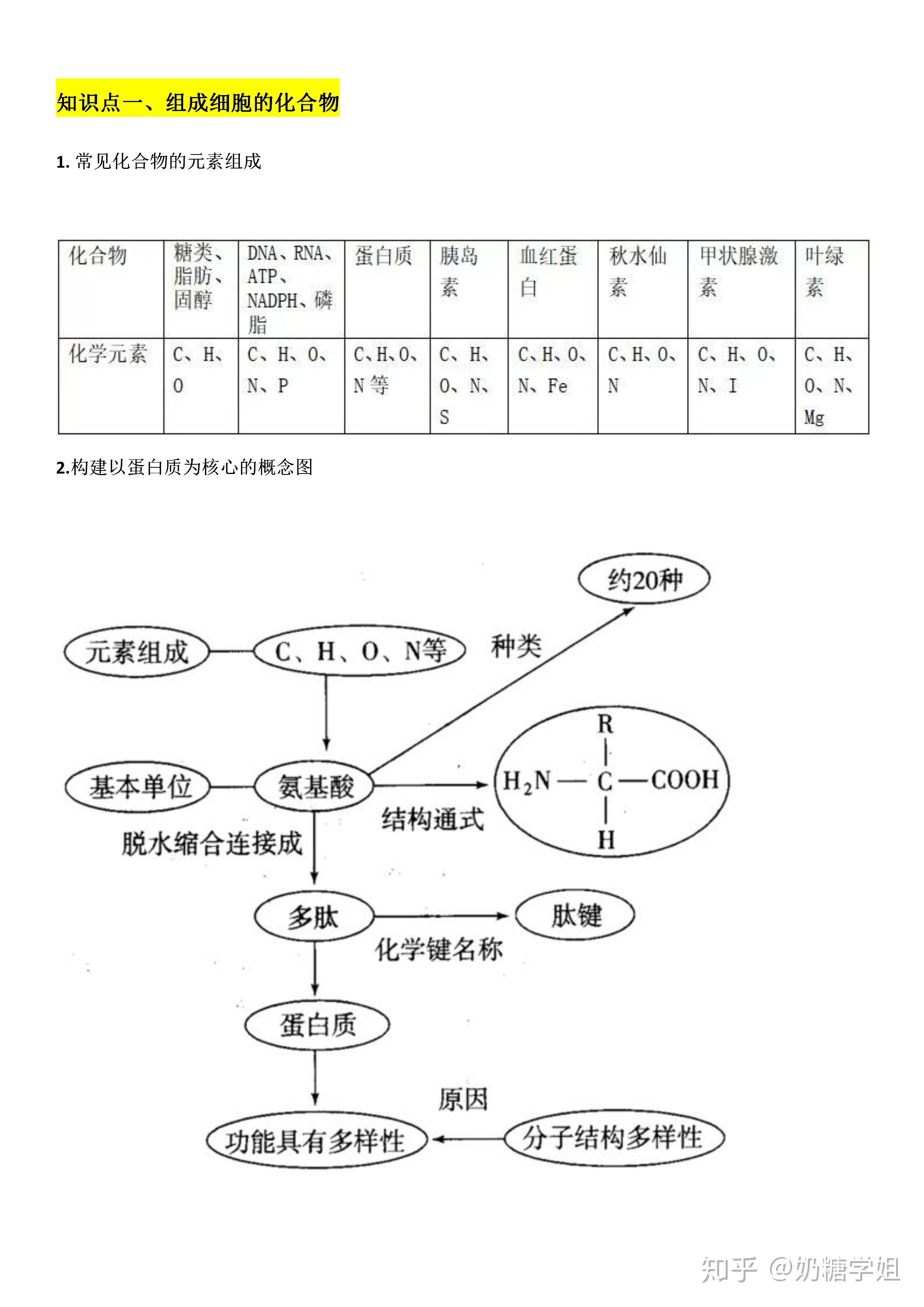 v2-bba61537b7432f174f33956fcc6e4229_r.jpg