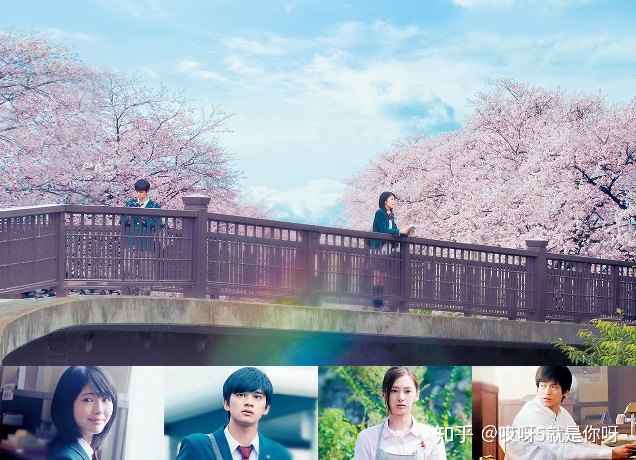 佳片有约之念念手纪我想吃掉你的胰脏因为那样可以成为你