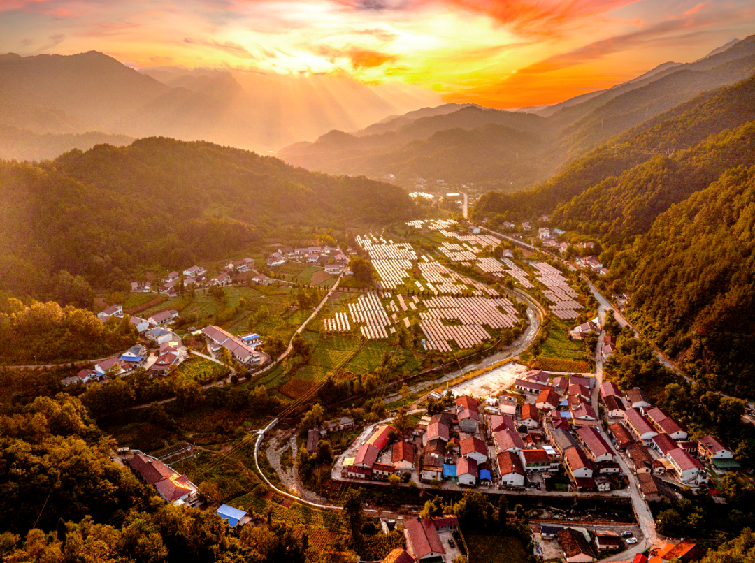 邂逅嘉陵江的温柔秋天总要来看一次略阳的红叶吧