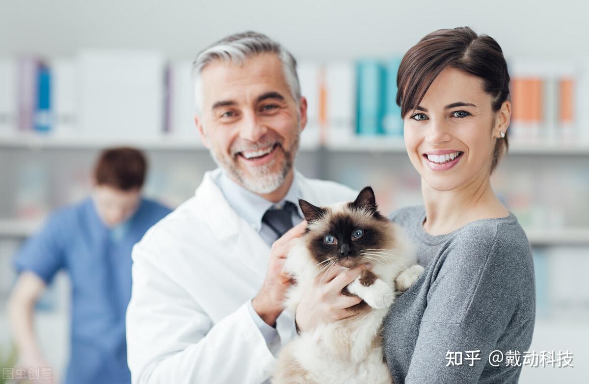 兽医在给小猫注射宠物医生医生打针注射图片下载 - 觅知网