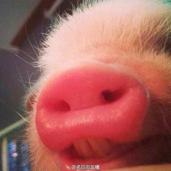 民航从业人员(飞行员 空乘 地勤等)坐飞机是怎