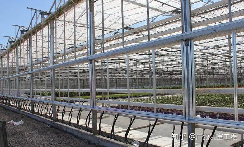 AC米兰官网-未来十年 决定中国碳排放的两个关键 - 碳排放