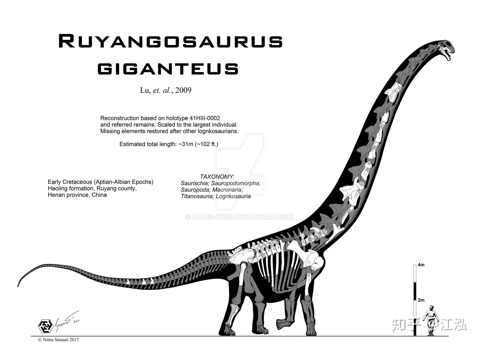 巨型汝阳龙(ruyangosaurus giganteus)