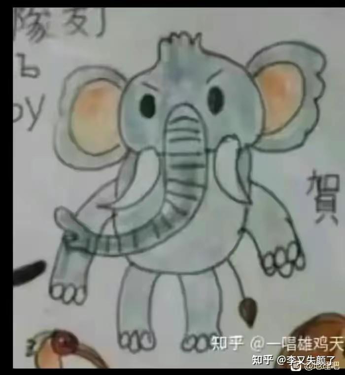 貉子,狼,豺,赤狐,熊,小(红)熊猫,貂,紫貂,骆驼,黄鼬白鼬虎鼬.