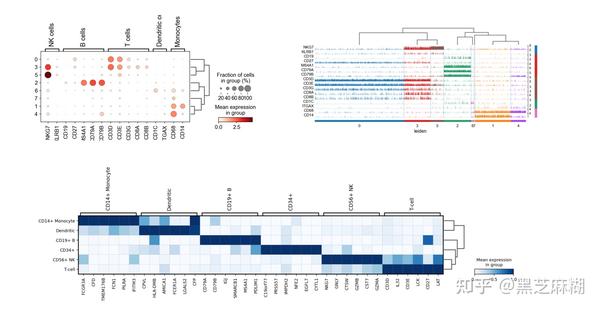 annottaion_by_scanpy