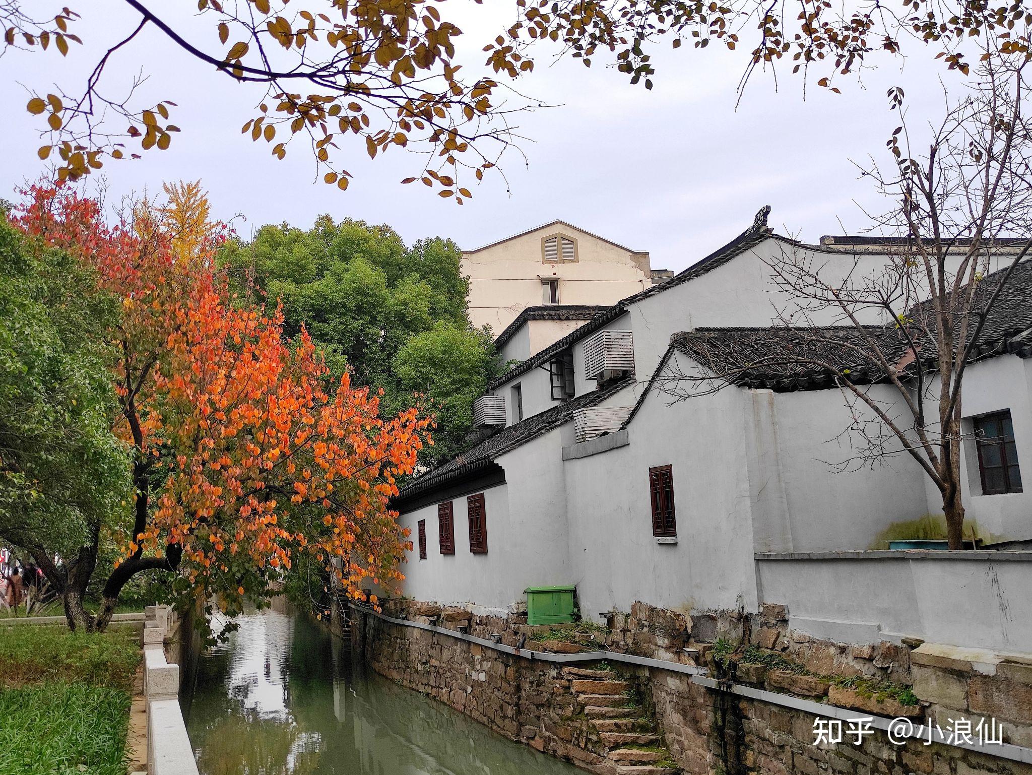 秋天一定要去道前街看看这里有苏州最美的江南秋景