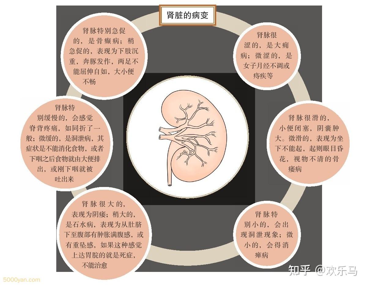 邪气脏腑病形:邪气对脏腑的侵袭 - 知乎