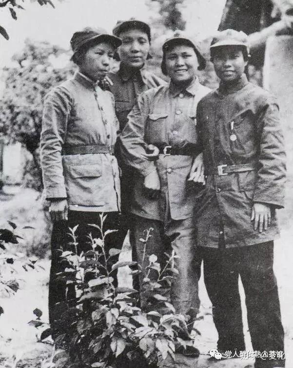 妇女的冤仇深她为什么参加红军